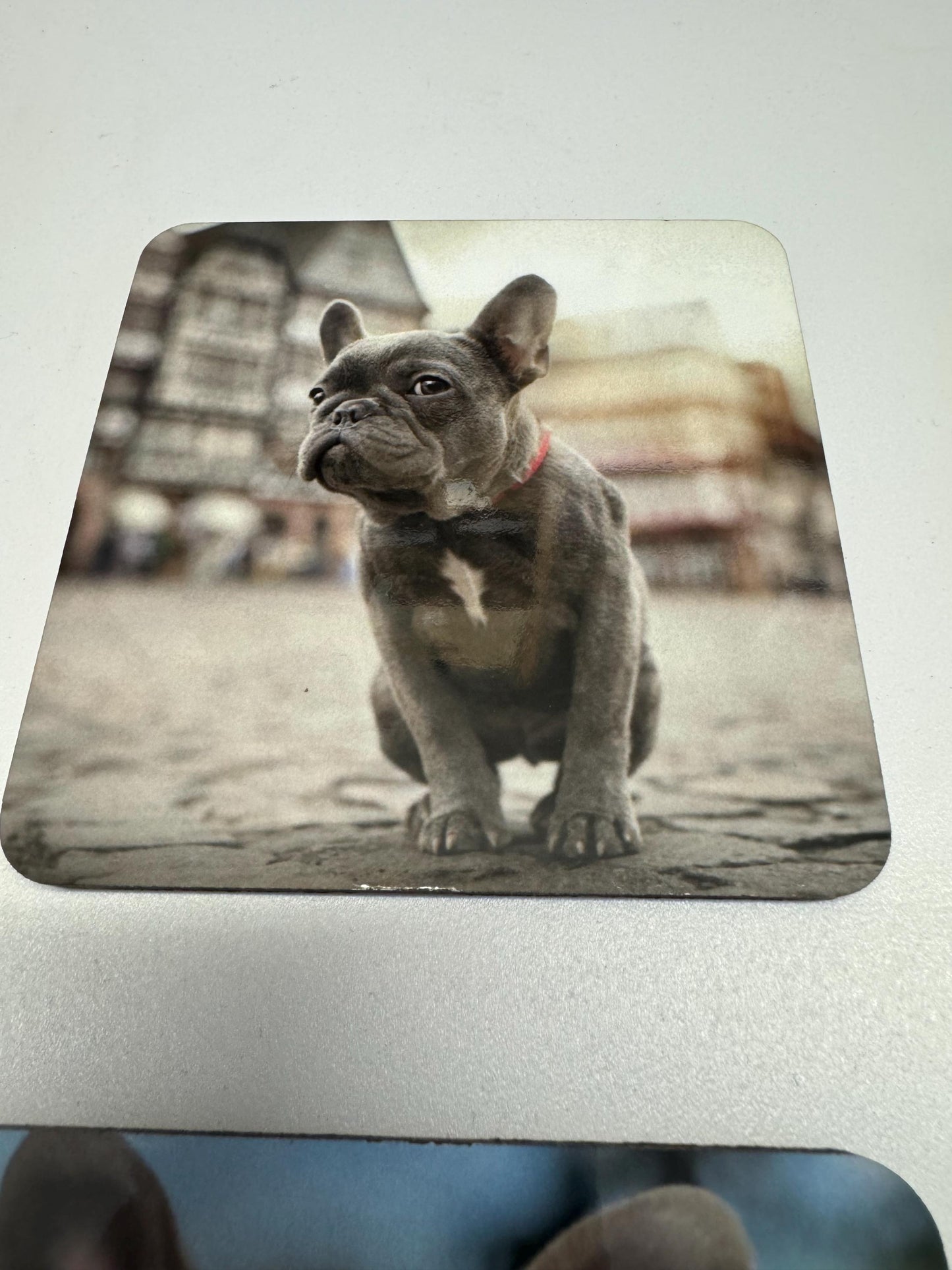Set of 4 French bulldog coasters| frenchie coasters| coaster set| dog lovers set of coasters| mothers day gift | gift for her|