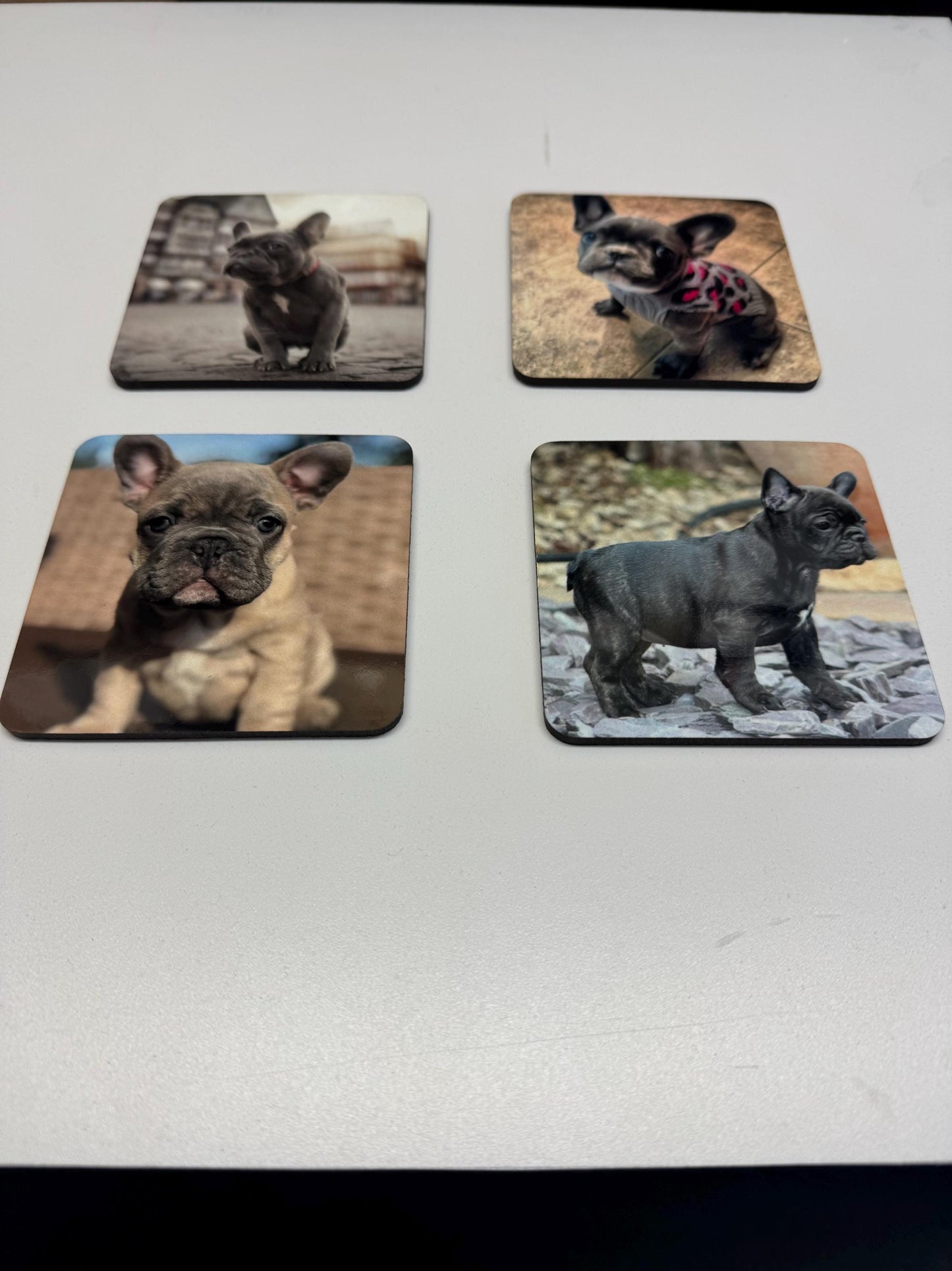 Set of 4 French bulldog coasters| frenchie coasters| coaster set| dog lovers set of coasters| mothers day gift | gift for her|