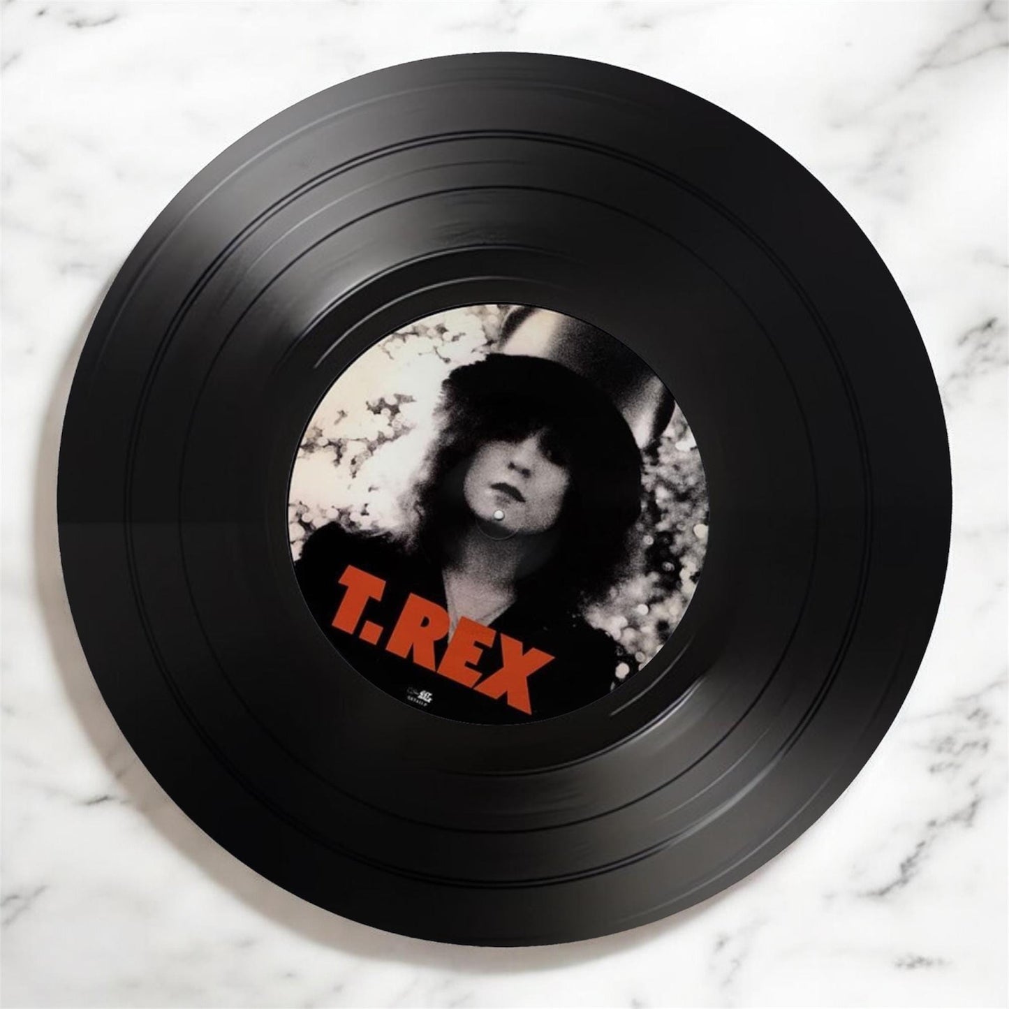 Set of 4 T-Rex Round Record Coasters Retro Decor, Man Cave Decor, Rock Band, Music Themed, Rock Music Gift,T-Rex gift,Glam rock gift
