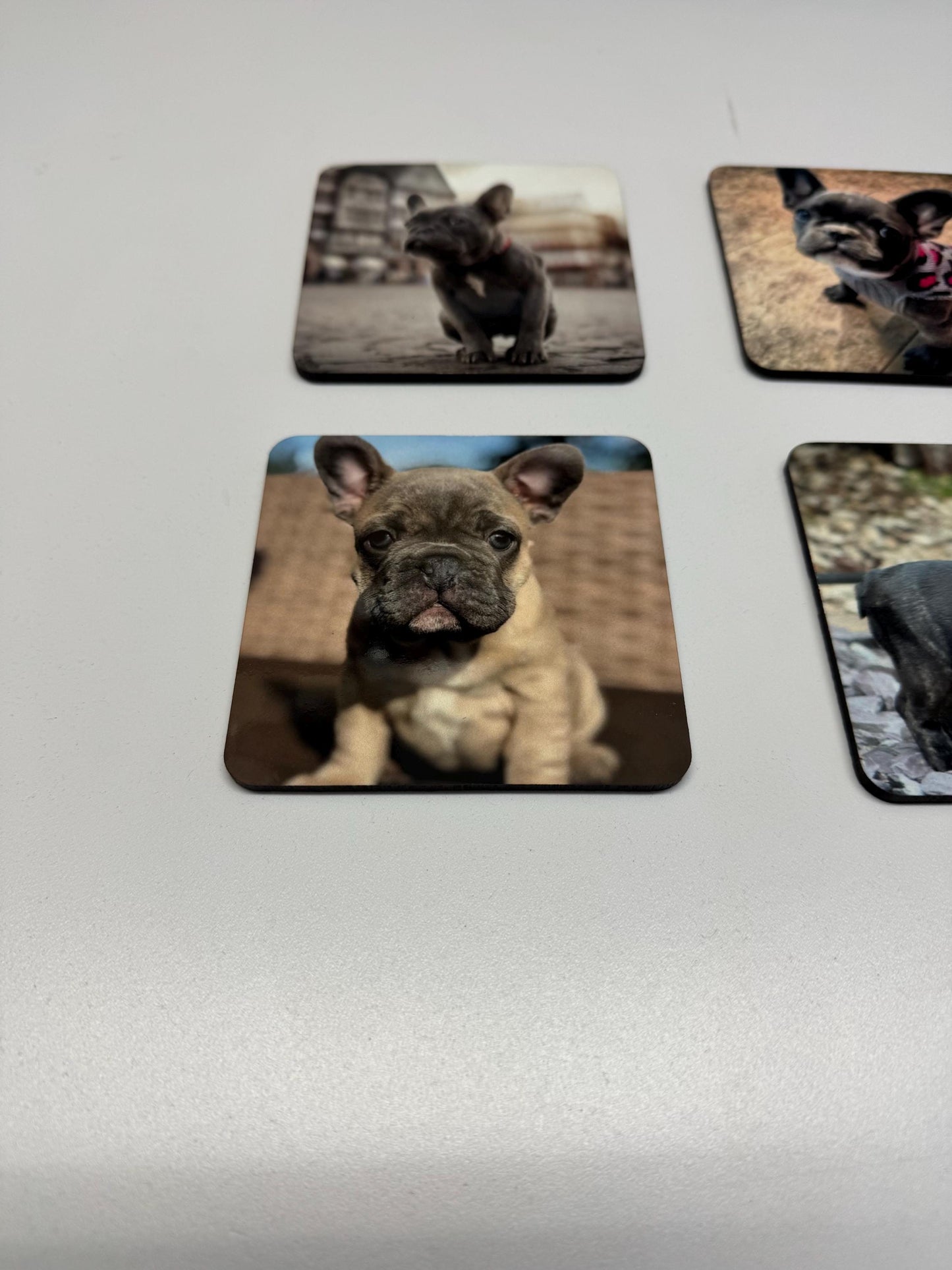 Set of 4 French bulldog coasters| frenchie coasters| coaster set| dog lovers set of coasters| mothers day gift | gift for her|