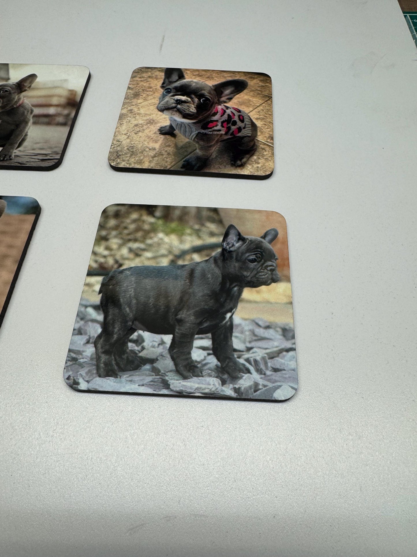 Set of 4 French bulldog coasters| frenchie coasters| coaster set| dog lovers set of coasters| mothers day gift | gift for her|