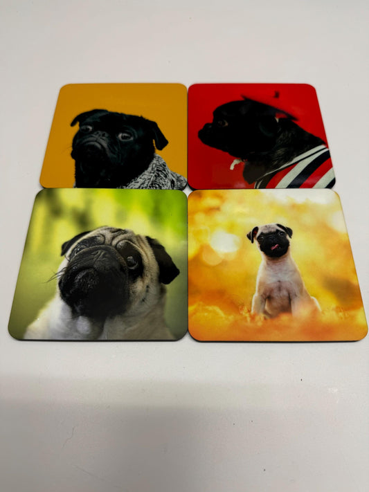 pug
