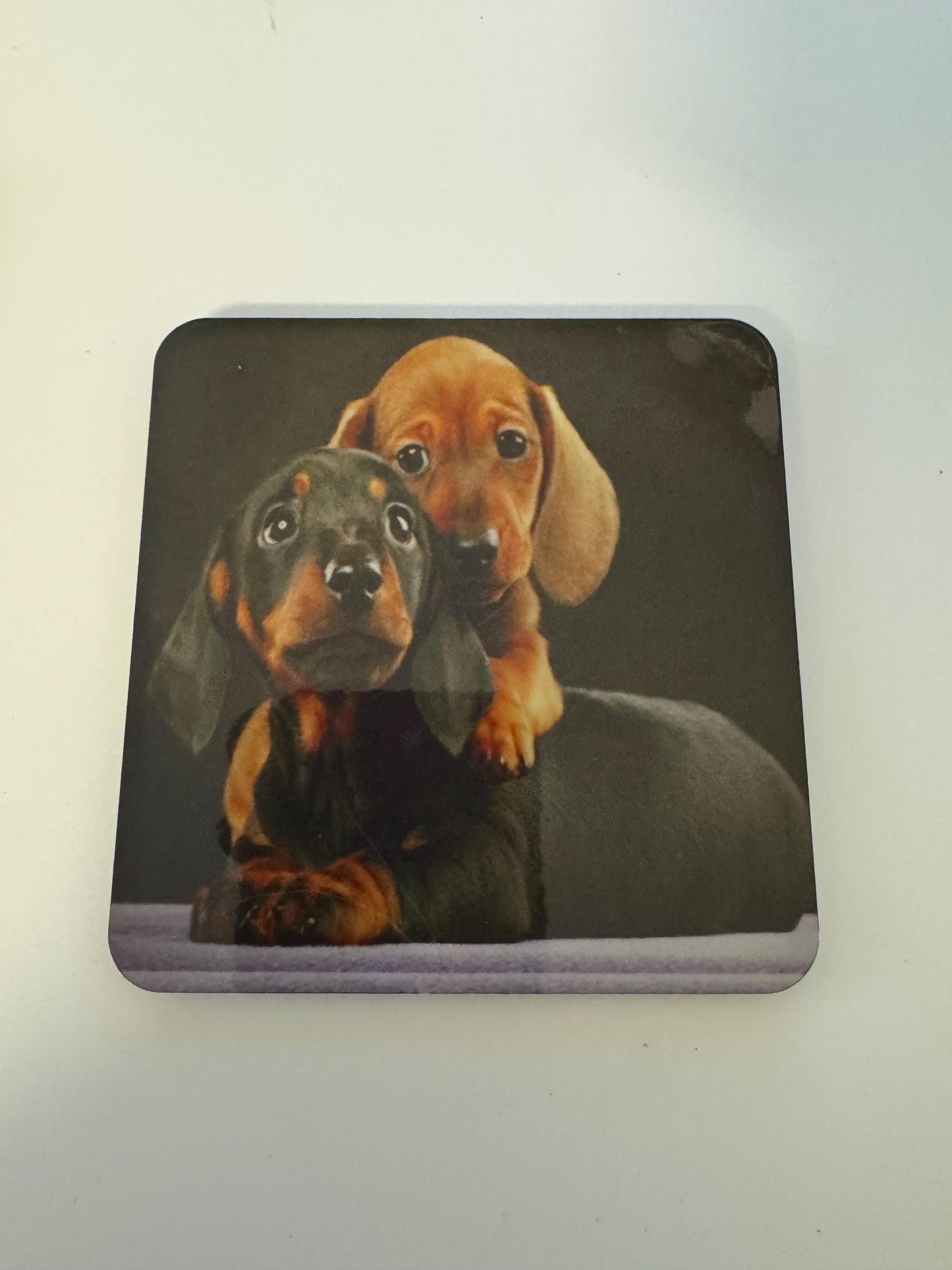 Set of 4 Dachshund Coasters | Mothers Day Gift | Gift for Her, Dachshund Coasters, Gift For Her, Dog Coasters, Dachshund Kitchen Decor, Dachshund Table Decor, Dachshund Housewares, Dachshund Stocking Stuffer