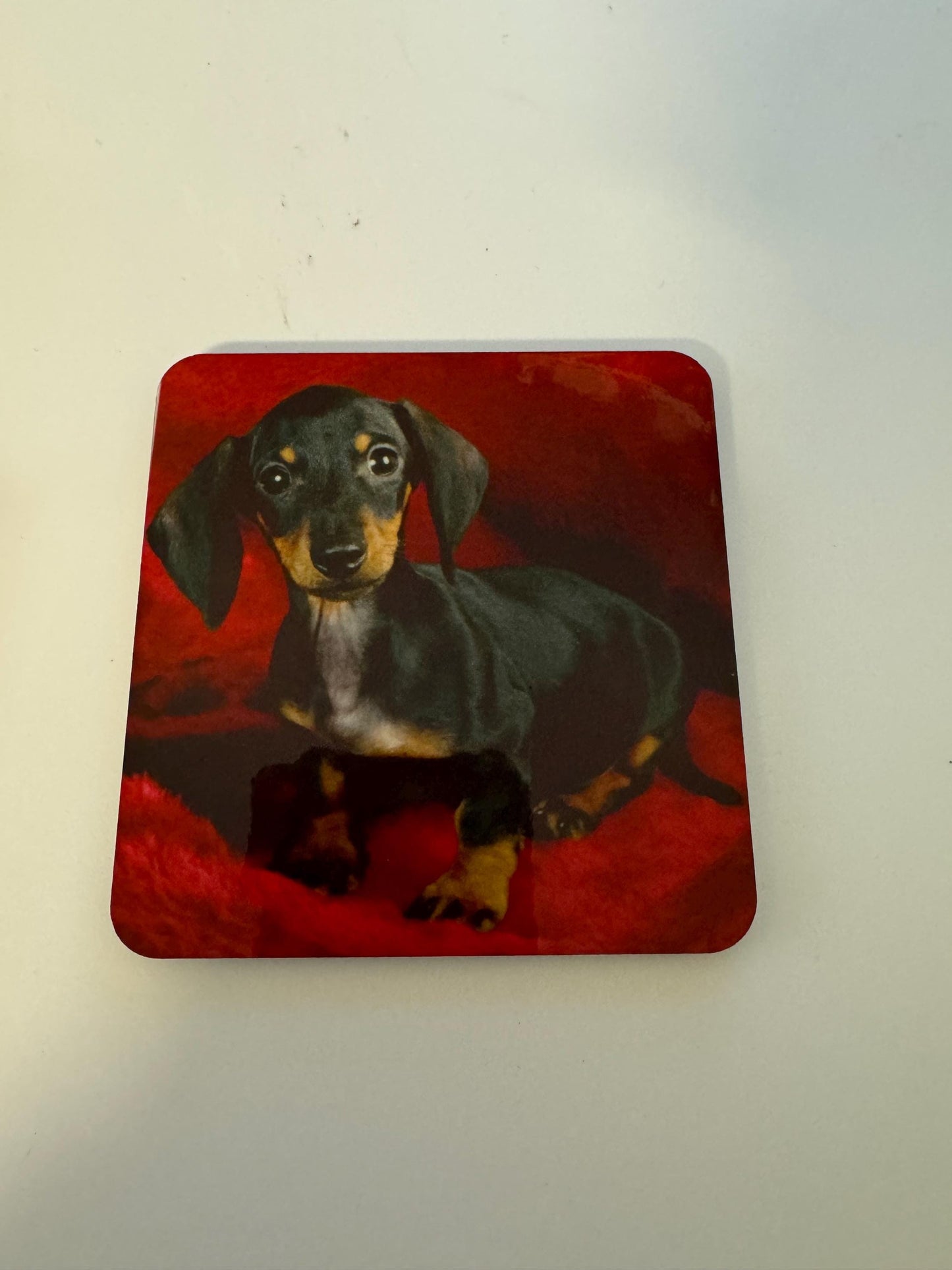 Set of 4 Dachshund Coasters | Mothers Day Gift | Gift for Her, Dachshund Coasters, Gift For Her, Dog Coasters, Dachshund Kitchen Decor, Dachshund Table Decor, Dachshund Housewares, Dachshund Stocking Stuffer