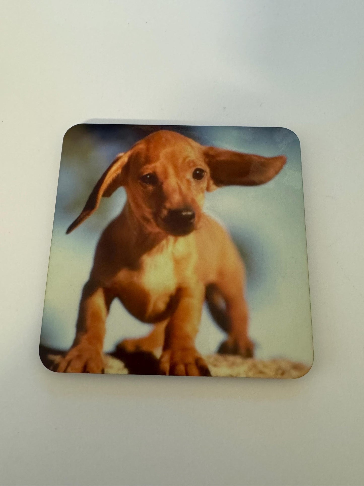 Set of 4 Dachshund Coasters | Mothers Day Gift | Gift for Her, Dachshund Coasters, Gift For Her, Dog Coasters, Dachshund Kitchen Decor, Dachshund Table Decor, Dachshund Housewares, Dachshund Stocking Stuffer